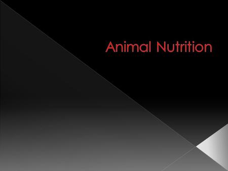  Body processes require the use of energy  Obtained from ingested food or stored fat  Animal must have food to store energy in fat cells.