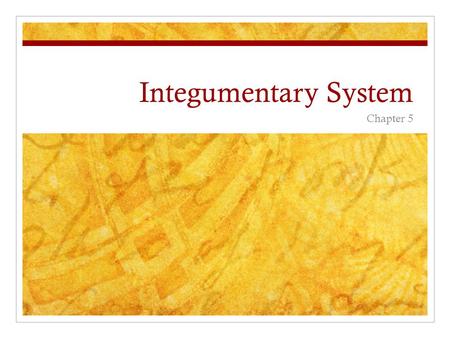 Integumentary System Chapter 5. Combining Forms for the Integumentary System adip/oadiposis lip/olipoma steat/osteatoma dermo/ohypodermic dermat/odermatology.