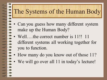 The Systems of the Human Body