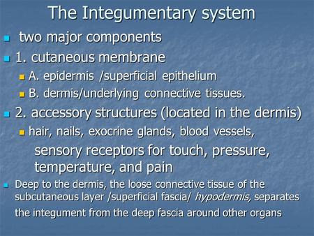 The Integumentary system