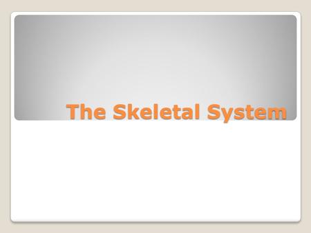 The Skeletal System.