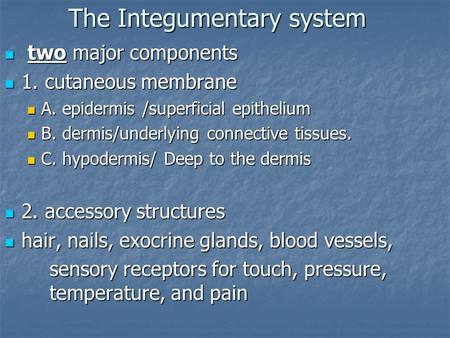 The Integumentary system