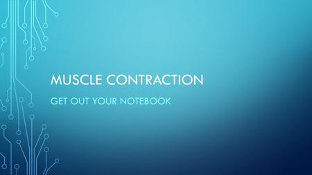 MUSCLE CONTRACTION GET OUT YOUR NOTEBOOK. Grip the close-pin and squeeze it together as many times as possible in one minute (always keep the same grip)