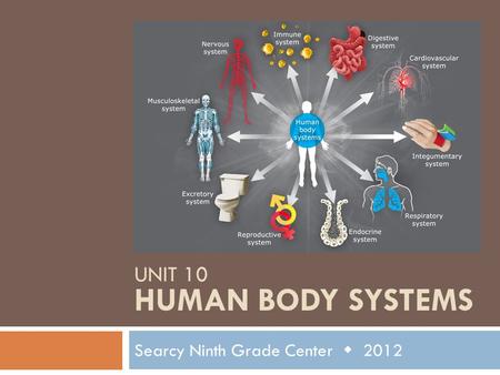 Unit 10 Human Body Systems