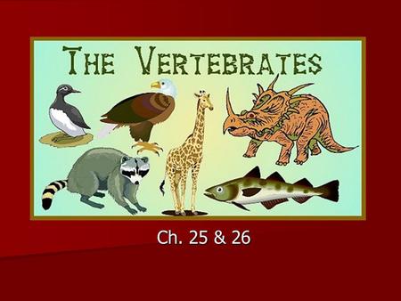 VERTEBRATES Ch. 25 & 26.