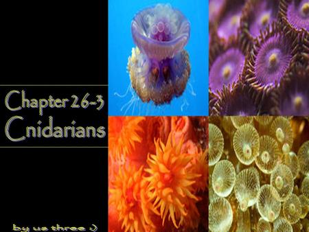 Chapter 26-3 Cnidarians by us three :).