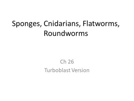 Sponges, Cnidarians, Flatworms, Roundworms Ch 26 Turboblast Version.