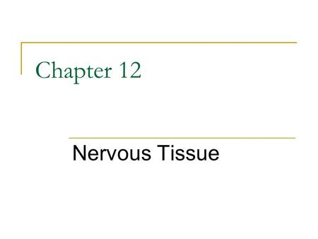 Chapter 12 Nervous Tissue. Functional composition of the PNS. Copyright © 2002 Pearson Education, Inc., publishing as Benjamin Cummings Fig. 48.17.