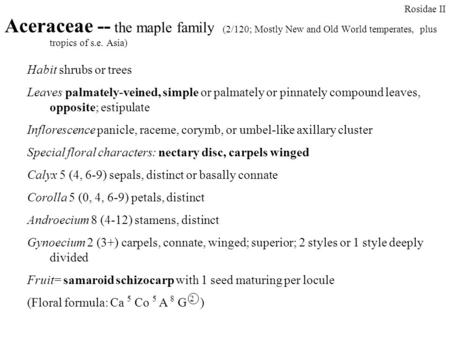 Habit shrubs or trees Leaves palmately-veined, simple or palmately or pinnately compound leaves, opposite; estipulate Inflorescence panicle, raceme, corymb,