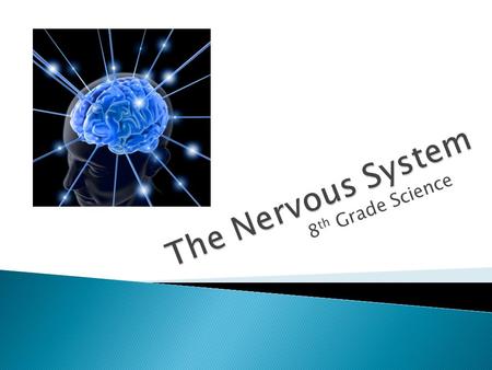 8 th Grade Science.  The nervous system and the endocrine system regulate and control the activities of the other body systems  The nervous system may.