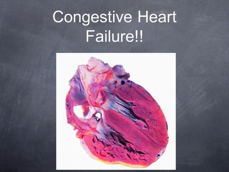 Congestive Heart Failure!!. Question 1 What’s a symptom of congestive heart failure?? A. shortness of breath B. chest pain C. No appetite D. all of the.