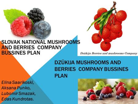 DZŪKIJA MUSHROOMS AND BERRIES COMPANY BUSSINES PLAN Elina Saarikoski, Aksana Punko, Lubomir Smazak, Edas Kundrotas. SLOVAK NATIONAL MUSHROOMS AND BERRIES.