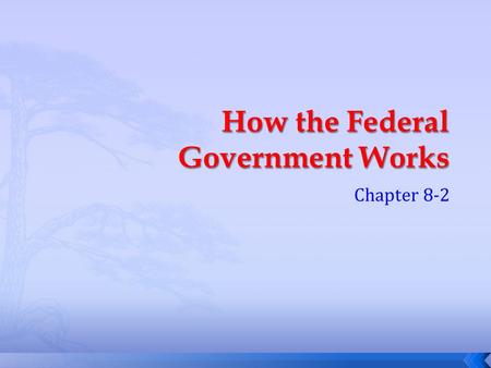 How the Federal Government Works