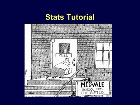 Stats Tutorial. Is My Coin Fair? Assume it is no different from others (null hypothesis) When will you no longer accept this assumption?