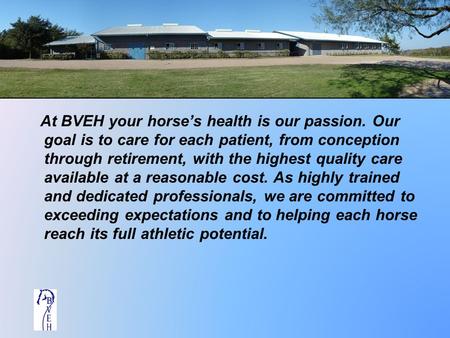 At BVEH your horse’s health is our passion. Our goal is to care for each patient, from conception through retirement, with the highest quality care available.