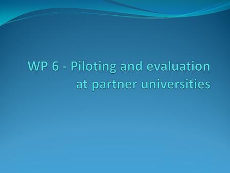 Planned activities 6.1Monitoring of university regulatory documents implementation 6.2Piloting and evaluation of defined support services in partner universities.