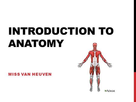 Introduction to Anatomy