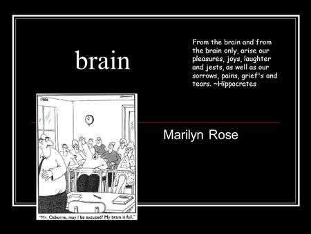 Brain From the brain and from the brain only, arise our pleasures, joys, laughter and jests, as well as our sorrows, pains, grief's and tears. ~Hippocrates.