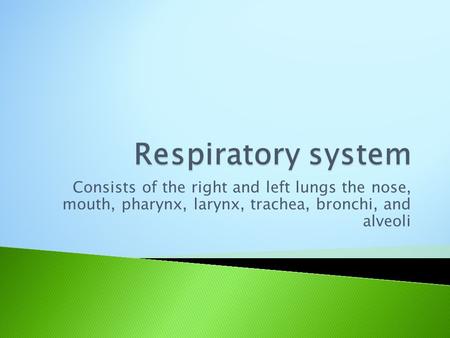 Consists of the right and left lungs the nose, mouth, pharynx, larynx, trachea, bronchi, and alveoli.