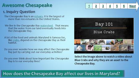 The Chesapeake Bay is an estuary. It is the largest of more than 100 estuaries in the United States.estuary We live in the Chesapeake Bay watershed. That.