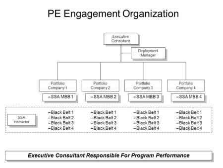 PE Engagement Organization Executive Consultant Executive Consultant Portfolio Company 1 –SSA MBB 1 –Black Belt 1 –Black Belt 2 –Black Belt 3 –Black Belt.