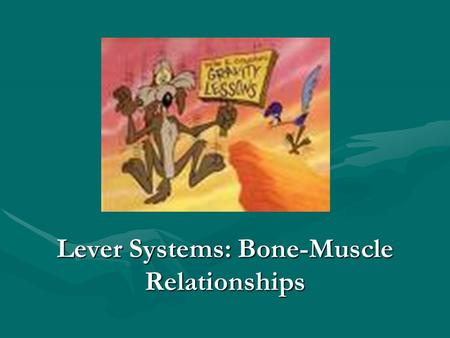 Lever Systems: Bone-Muscle Relationships