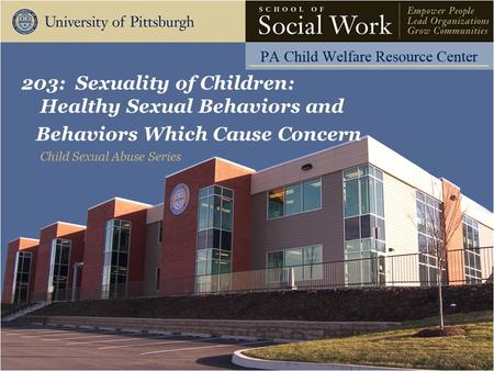 203: Sexuality of Children: Healthy Sexual Behaviors and Behaviors Which Cause Concern Child Sexual Abuse Series.