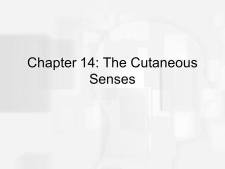 Chapter 14: The Cutaneous Senses