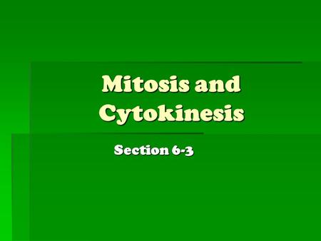 Mitosis and Cytokinesis