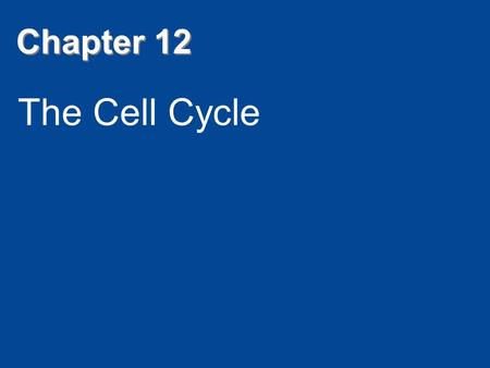 Chapter 12 The Cell Cycle.