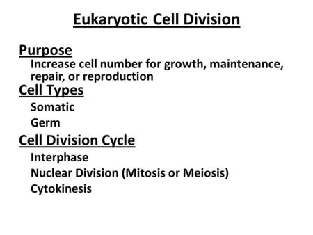 Eukaryotic Cell Division