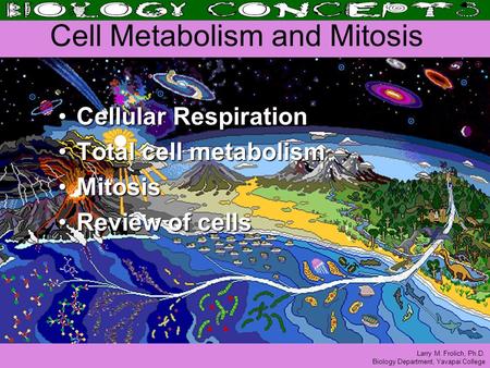 Larry M. Frolich, Ph.D. Biology Department, Yavapai College Cell Metabolism and Mitosis Cellular RespirationCellular Respiration Total cell metabolismTotal.