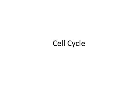 Cell Cycle. Cell Division Cell division is the process where a parent cell divides into two daughter cells. There are two types of cell division: Mitosis.