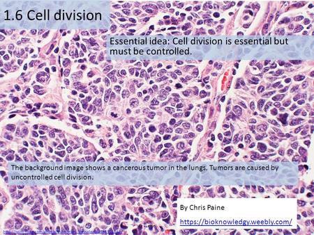 Essential idea: Cell division is essential but must be controlled.