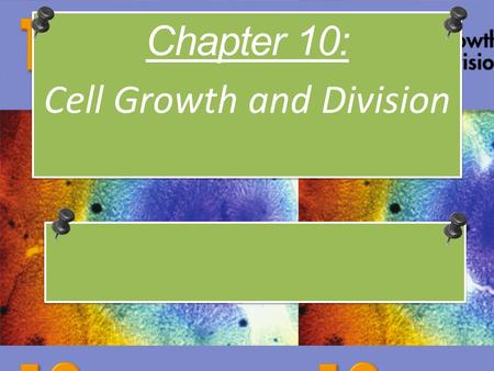 Chapter 10: Cell Growth and Division Chapter 10: Cell Growth and Division.