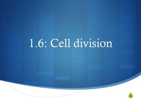 1.6: Cell division.