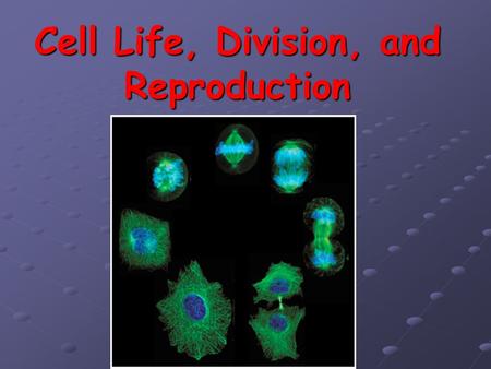 Cell Life, Division, and Reproduction. Specialized Cells Cells are specialized – have particular function/role Ex: nerve, blood, muscle, sperm, etc Ex: