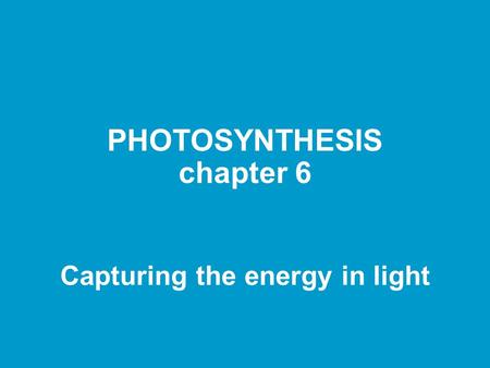 PHOTOSYNTHESIS chapter 6