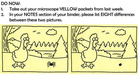 DO NOW: Take out your microscope YELLOW packets from last week.