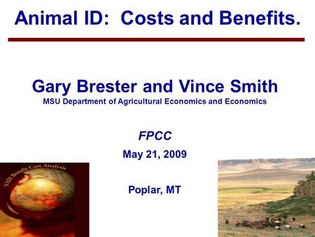 1 Animal ID: Costs and Benefits. Gary Brester and Vince Smith MSU Department of Agricultural Economics and Economics FPCC May 21, 2009 Poplar, MT.