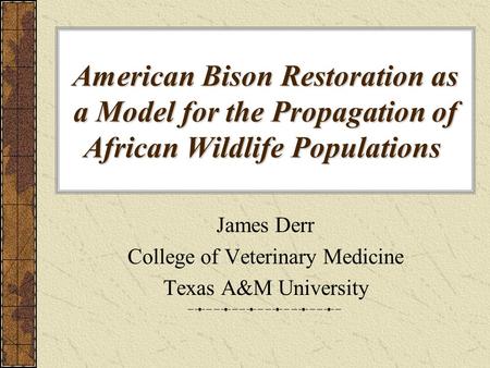 American Bison Restoration as a Model for the Propagation of African Wildlife Populations American Bison Restoration as a Model for the Propagation of.