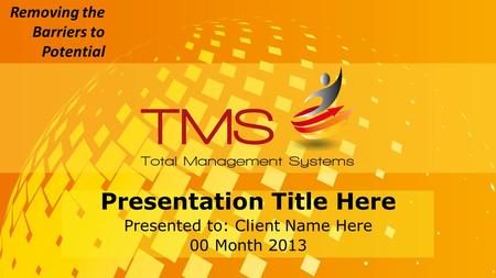 Removing the Barriers to Potential Presentation Title Here Presented to: Client Name Here 00 Month 2013.