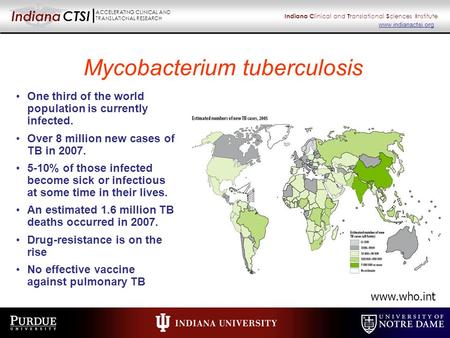 Indiana CTSI ACCELERATING CLINICAL AND TRANSLATIONAL RESEARCH Indiana C linical and T ranslational S ciences I nstitute www.indianactsi.org Mycobacterium.