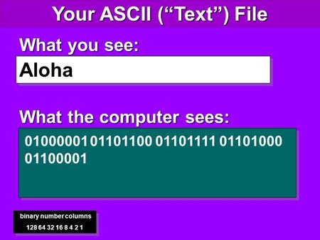 Aloha Aloha What you see: What the computer sees: binary number columns 128 64 32 16 8 4 2 1 binary number columns 128 64 32 16 8 4 2 1 01000001 01101100.