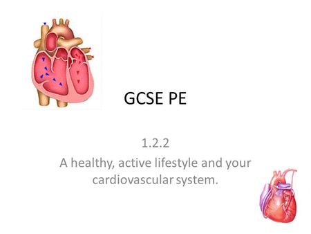 GCSE PE 1.2.2 A healthy, active lifestyle and your cardiovascular system.