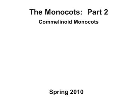 The Monocots: Part 2 Commelinoid Monocots