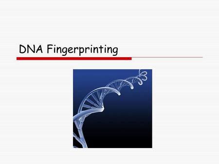 DNA Fingerprinting.