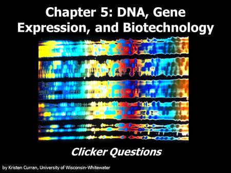 Chapter 5: DNA, Gene Expression, and Biotechnology