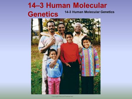 Copyright Pearson Prentice Hall 14–3 Human Molecular Genetics 14-3 Human Molecular Genetics.