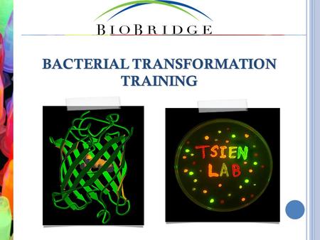 BACTERIAL TRANSFORMATION TRAINING